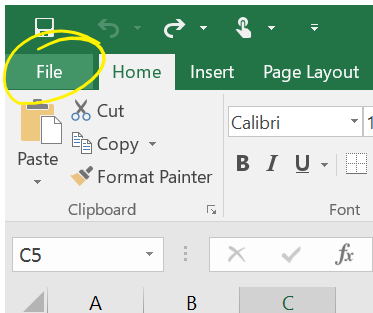 archivo no se pudo abrir en la vista protegida 5a