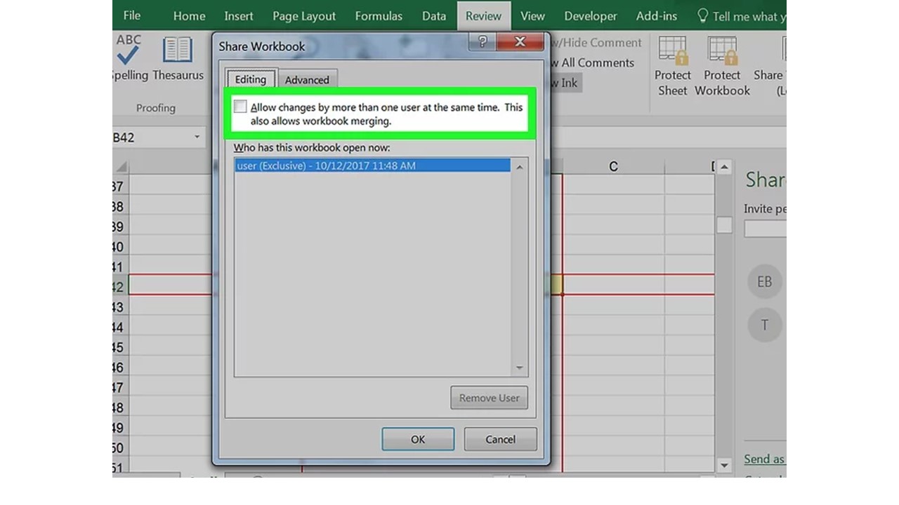 Unshare Libro de trabajo grayed out En Excel 11