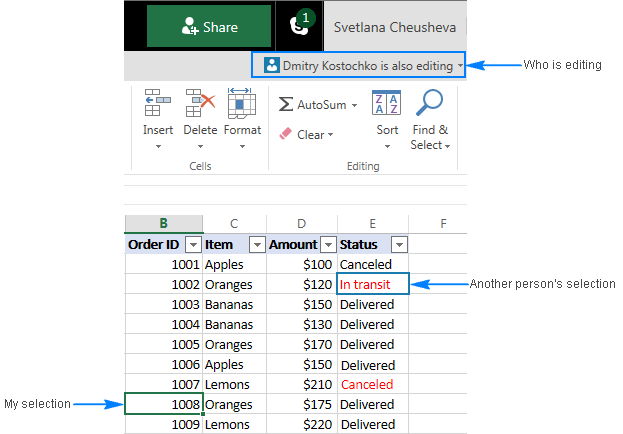 utilizo la co-autoría en Excel 4